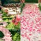 1000 PCS Pink Fake Rose Petals for Wedding, Valentine’s Day, Proposal, Engagement, Romantic Night, Artificia Flower Petals